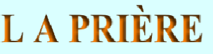 wp465ec7f9.png